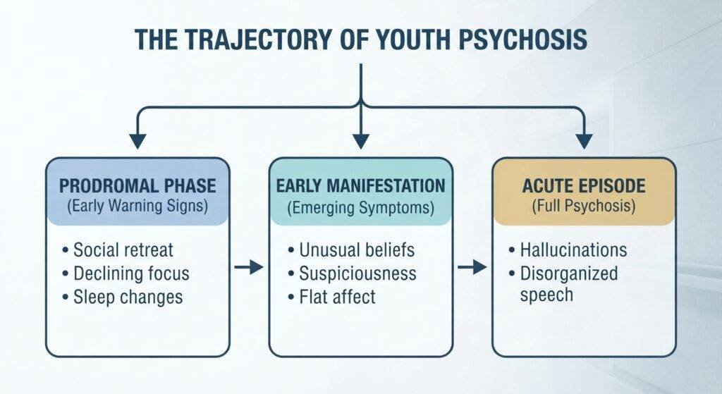 An educational infographic chart titled "THE TRAJECTORY OF YOUTH PSYCHOSIS." The chart is a three-stage flowchart, with arrows connecting the stages chronologically from left to right.Stage 1 (Prodromal Phase): The leftmost column, colored blue, is titled "PRODROMAL PHASE" with the subtitle "(Early Warning Signs)." It lists three bullet points: "• Social retreat," "• Declining focus," and "• Sleep changes."Stage 2 (Early Manifestation): The middle column, colored teal, is titled "EARLY MANIFESTATION" with the subtitle "(Emerging Symptoms)." It lists three bullet points: "• Unusual beliefs," "• Suspiciousness," and "• Flat affect."Stage 3 (Acute Episode): The rightmost column, colored beige, is titled "ACUTE EPISODE" with the subtitle "(Full Psychosis)." It lists two bullet points: "• Hallucinations" and "• Disorganized speech."